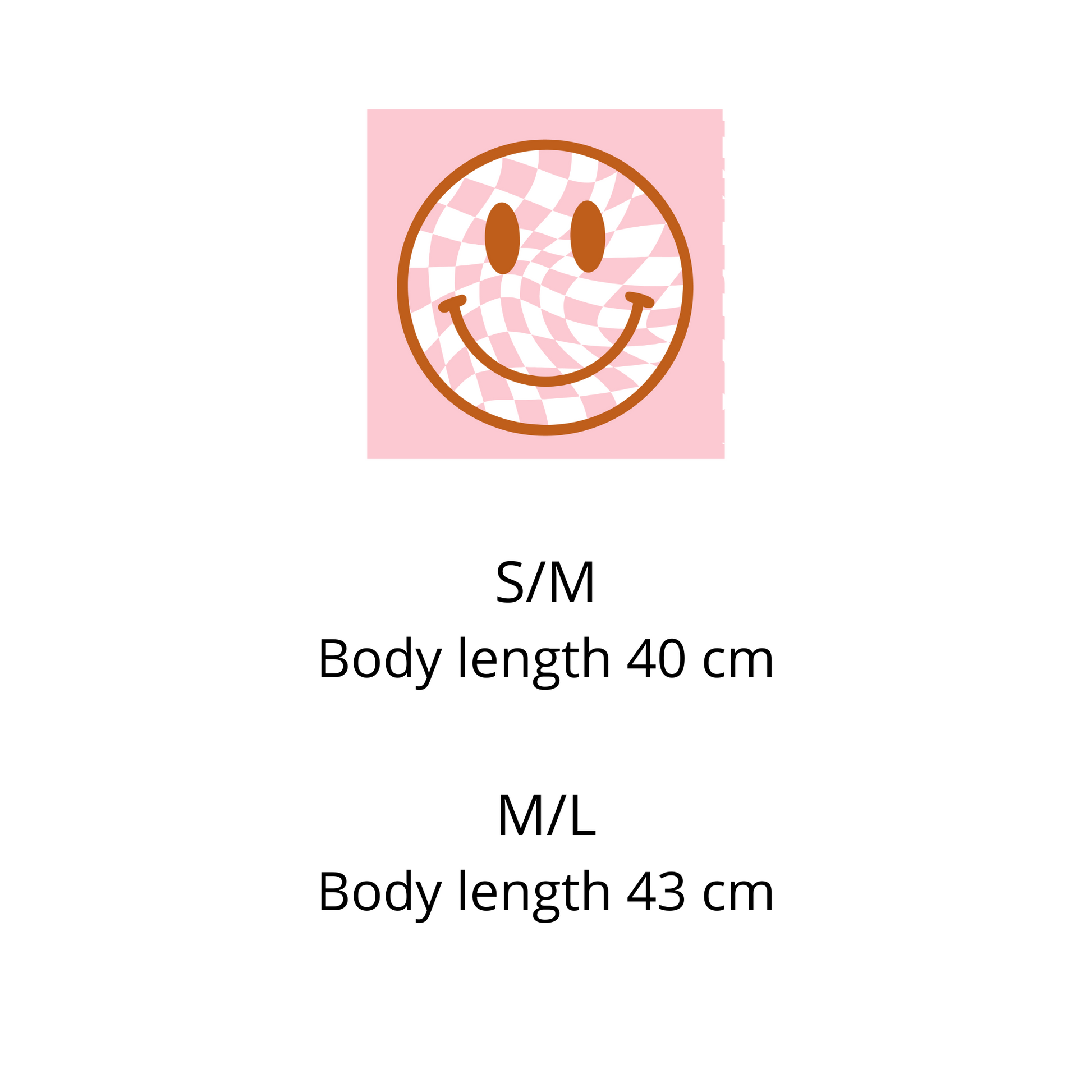 size chart measurements for cropped tshirt from sisterhood store